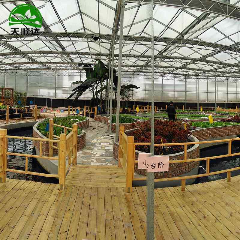 无001土栽培种水种菜植槽鱼共生植系统温室大棚无土培栽培系统