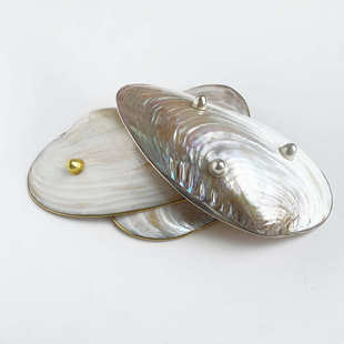 天然贝壳超大珍珠蚌壳客厅茶几轻奢托盘果盘家居创意工艺品摆件