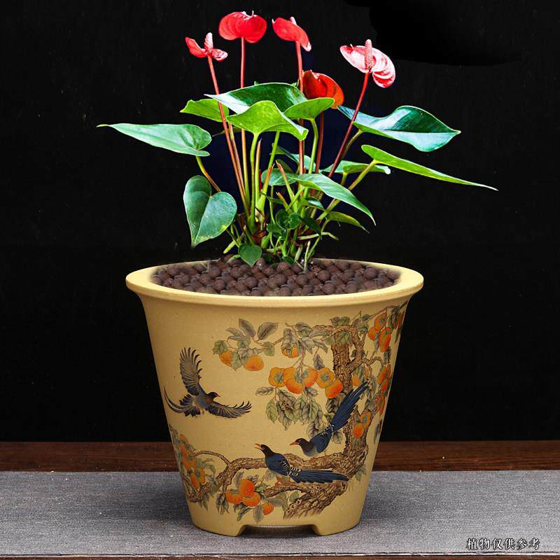 紫砂兰花盆精品圆形客厅桌面花卉绿植古典盆景盆蝴蝶兰金弹子包邮