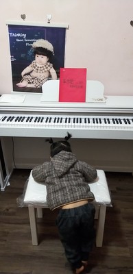 如何评价TheONE和卡西欧电钢琴比，应该选择谁呢？