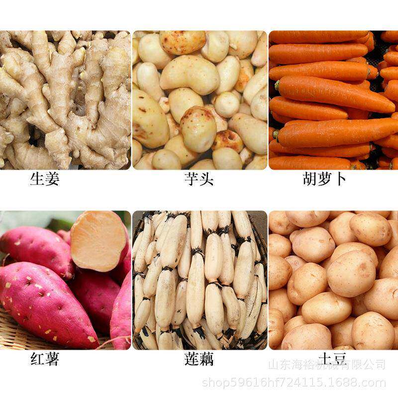 蔬商用大型全自动多果功大姜去泥根BFF茎类毛辊清洗机莲藕去能皮