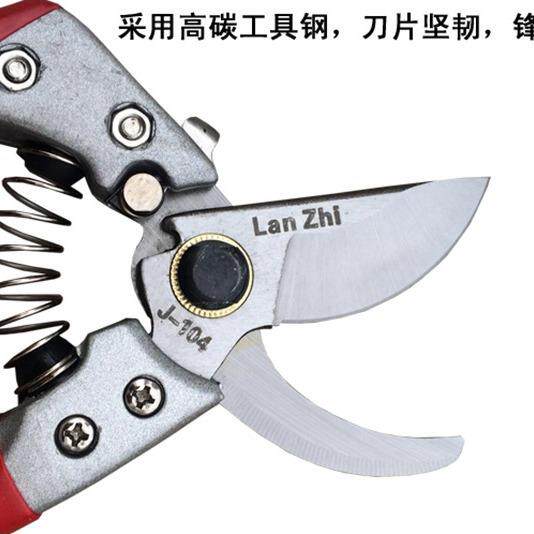 兰枝1修0树木剪剪园林园艺工具剪树枝条用盆CYB4栽剪子园枝艺花草