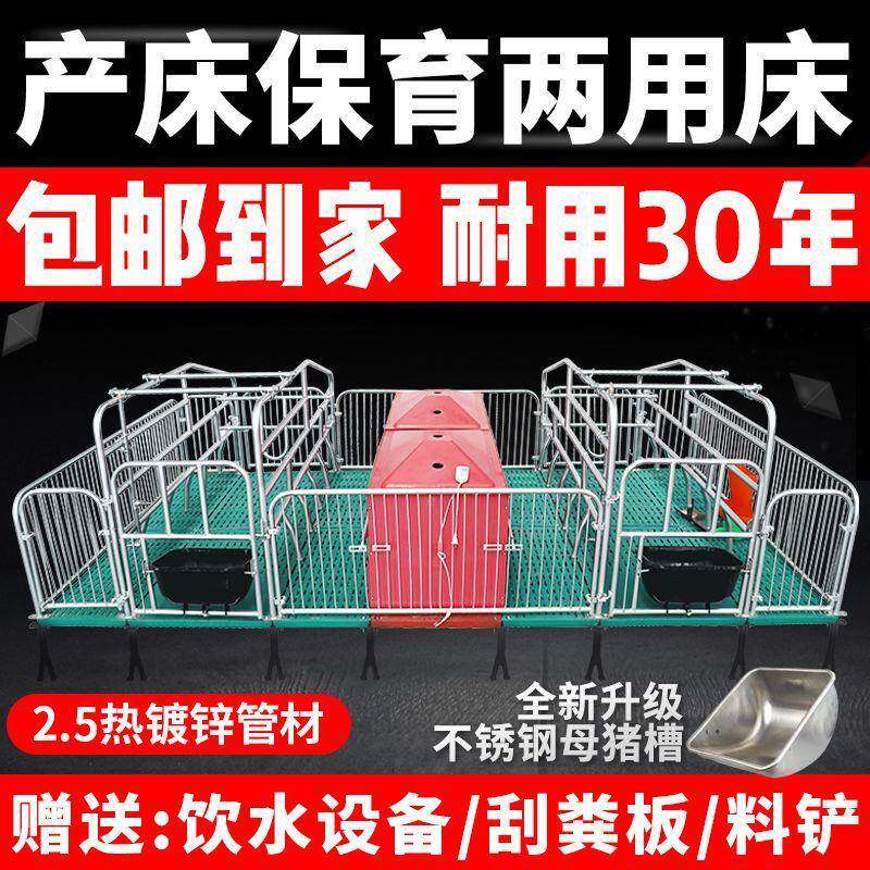 母猪产床热镀2.5单双体产保一体两用床定限位栏保育床养殖猪设备