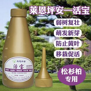 松柏黑松罗汉松专用吊针营养液移栽黄叶枯叶激活催芽生根大树插瓶
