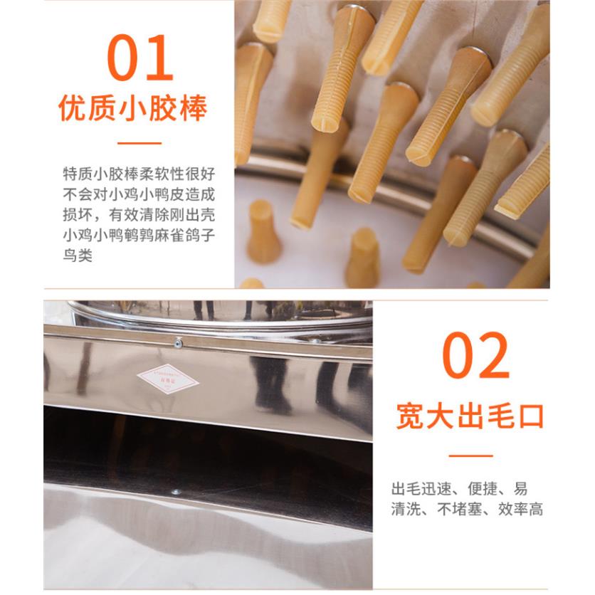 不锈钢小家禽鹌鹑鸽子脱毛机刚出壳小鸡小鸭小鹌鹑脱毛机厂家