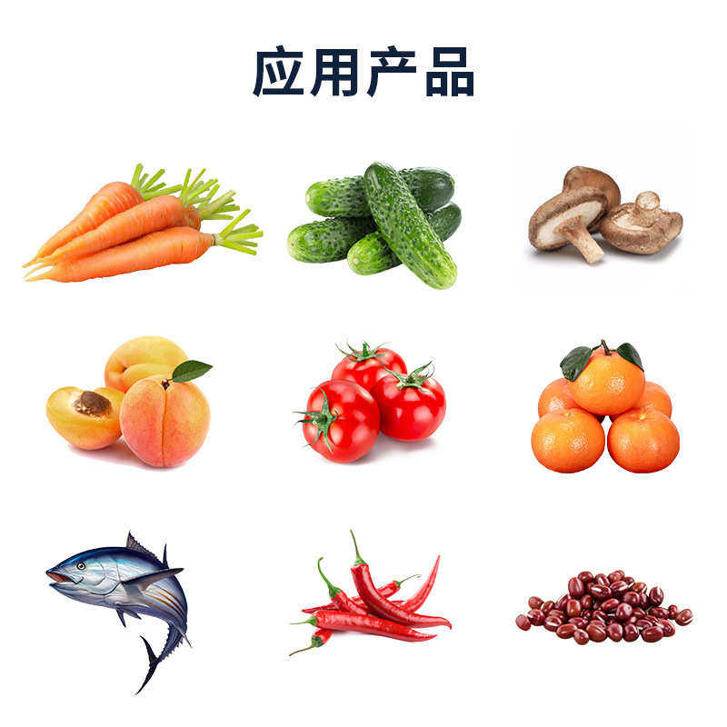 气泡清洗机 果蔬喷淋带提升洗果机辣椒黄桃香菇海产品鼓泡清洗机,清洗/食品/商业设备,解冻机,淘宝优惠券,粉丝福利购,淘宝优惠卷