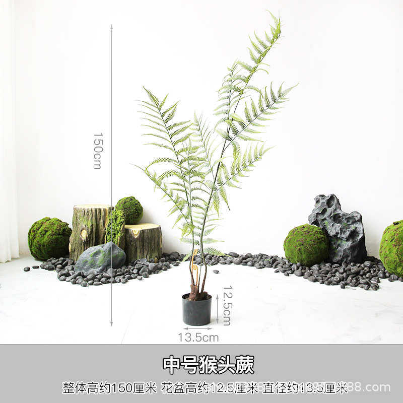 造景庭院假猴头系森林禅意盆栽金毛狗植物景仿真中式装饰蕨树绿蕨