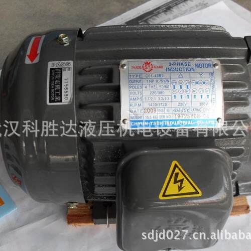 SY电机马达1HP 0.75W CO1-43BO CO1-43B0 C01-43BO 油泵内插电机