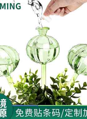 仙人球玻璃懒人浇花器绿植自动浇花器家用滴灌渗水盆栽跨境货源