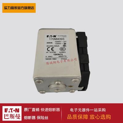 熔断器170M4312 170M4313 170M4314 170M4315 170M4316 170M4317