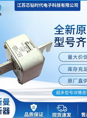170M6170 170M6171 巴斯曼BUSSMANN熔断器保险丝