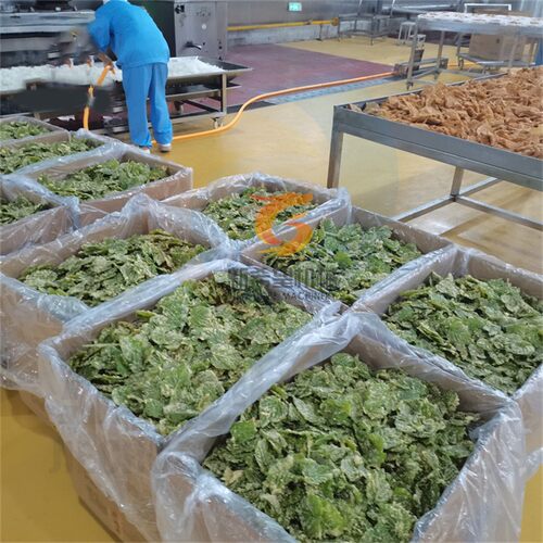 桑叶油炸机翠叶上浆油炸流水线香酥翠叶上浆油炸生产线