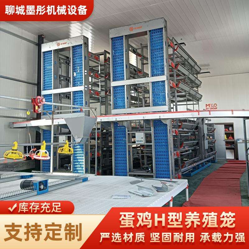 层叠式蛋鸡笼H型自动化养鸡设备鸽子笼层叠式养鸡设备鹌鹑养殖笼