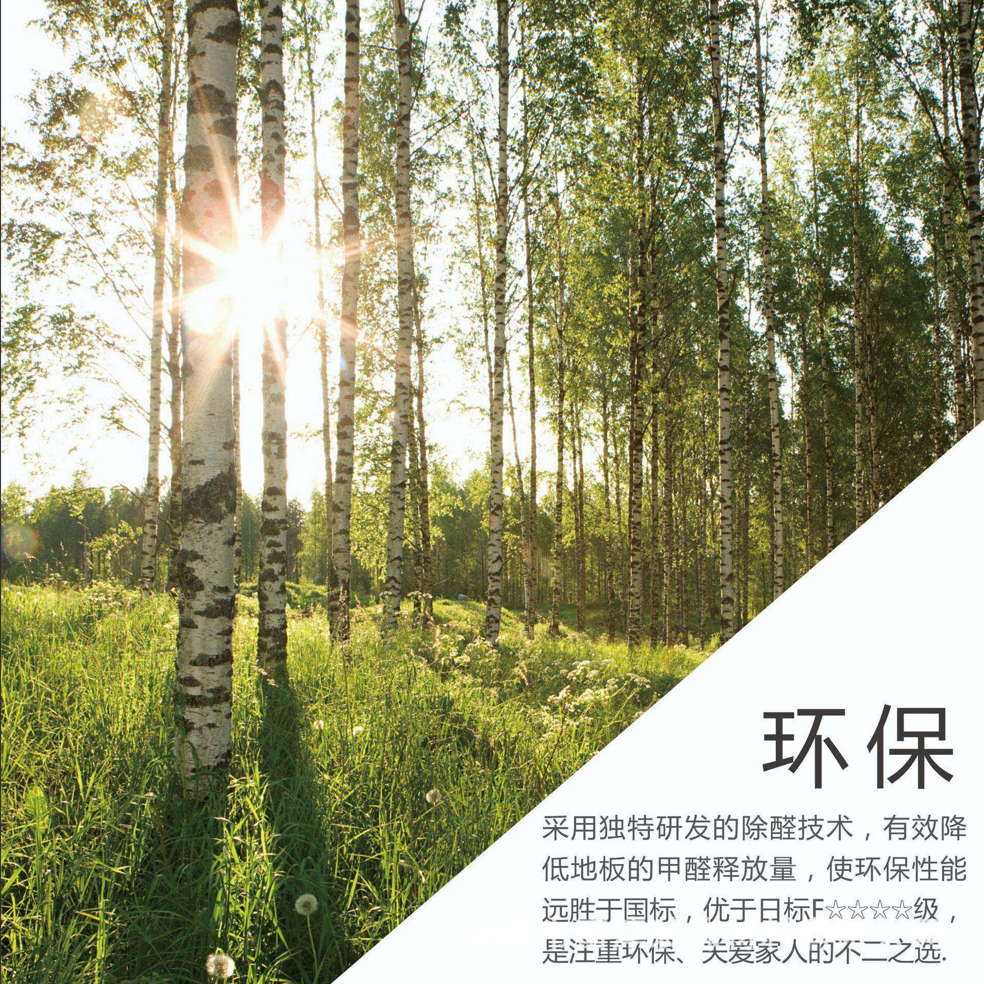 新三层木地板扣家用卡防水环保新西兰松木FC01S多层实木实复合地