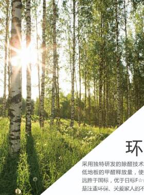 新三层木地板扣家用卡防水环保新西兰松木FC01S多层实木实复合地