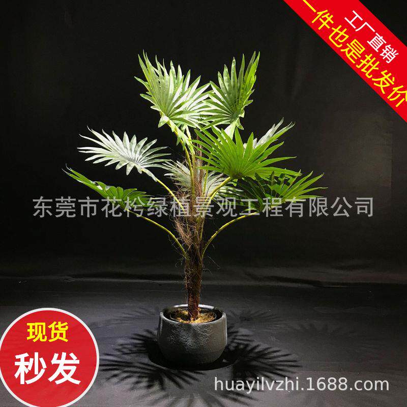 真蒲葵扇葵树叶盆栽装饰商超大型家居北欧橱窗假植物盆景厂家