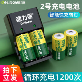 德力普2号充电电池大容量套装手电收音机燃气灶热水器C型充电器