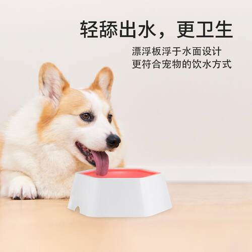 新款直销宠物漂浮碗不湿嘴狗狗饮水器防打翻猫咪喂水碗防外溅狗碗
