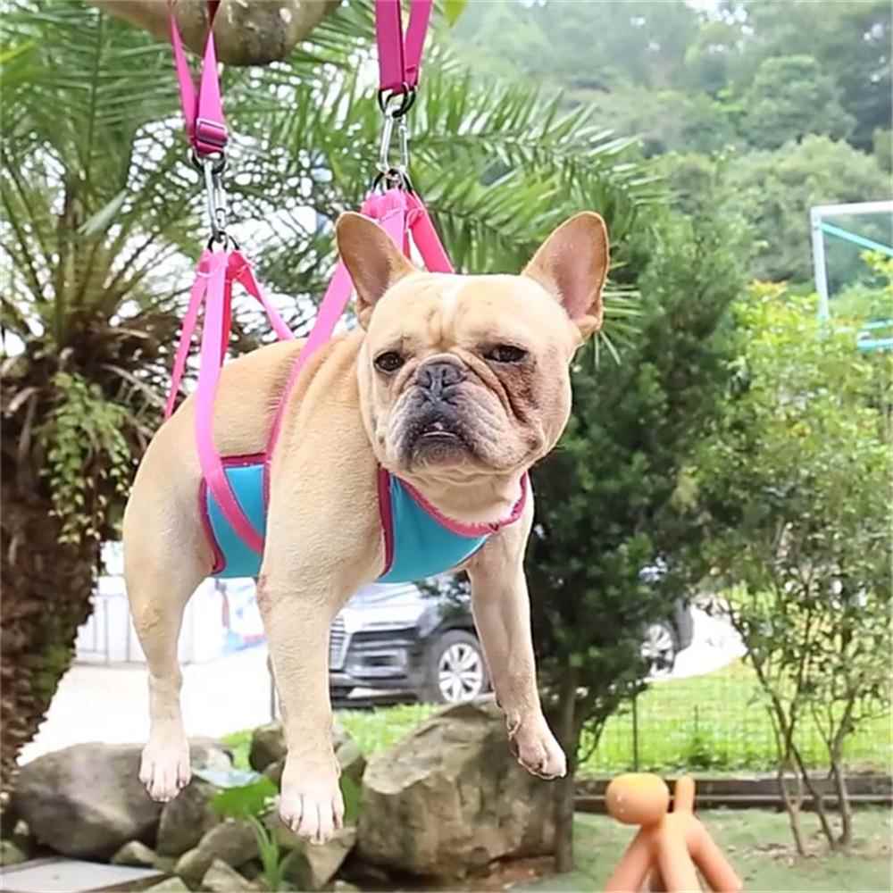 新款直销跨境新款宠物美容吊床猫咪狗狗指甲修剪清洁美容工具中大