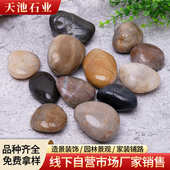 抛光雨花石五彩庭院垫底鹅卵石石花铺路水池装 饰雨花石鱼缸造景盆
