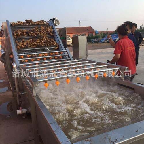 全自动果蔬清洗流水线 菠菜辣椒大枣气泡清洗机苹果草莓清洗设备