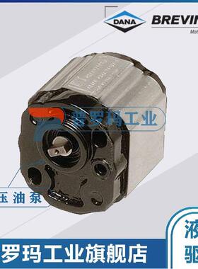 BRTVINI齿轮油泵OT100P20S/G13B0 G14B0 G214B0 R11S1 G11S1 D 58