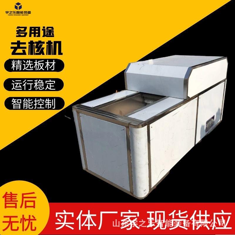 苹果去核切圈机滇橄榄去核设备余甘子分半机器桂圆李子去核机