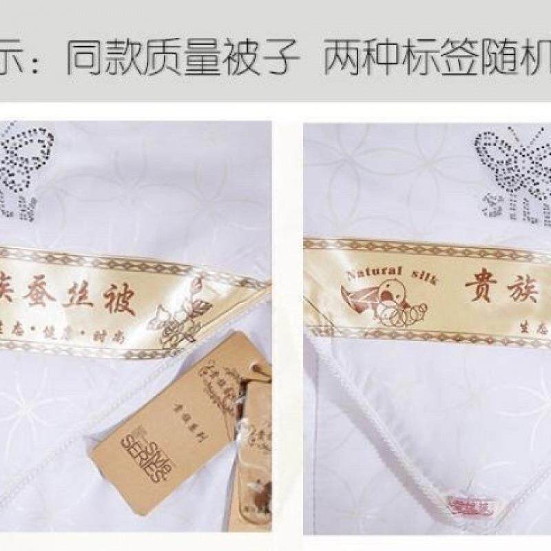 桐乡%蚕丝被子冬被冬天加厚被芯春秋被双人单人被褥厂一件