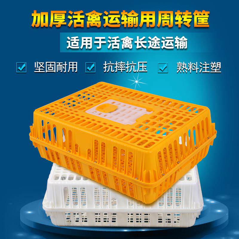鸡笼转箱成鸡鸭运输笼加厚塑料长方形号鸡笼鹅子特ECC大家禽周鸡
