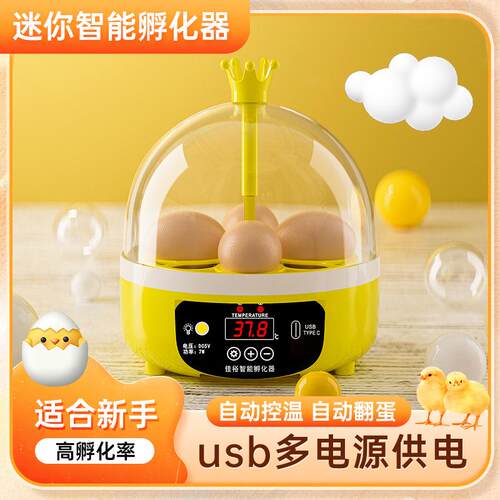全自动孵蛋器芦丁鸡小鸡孵化器小型家用智能孵化机水床鹦鹉孵化箱