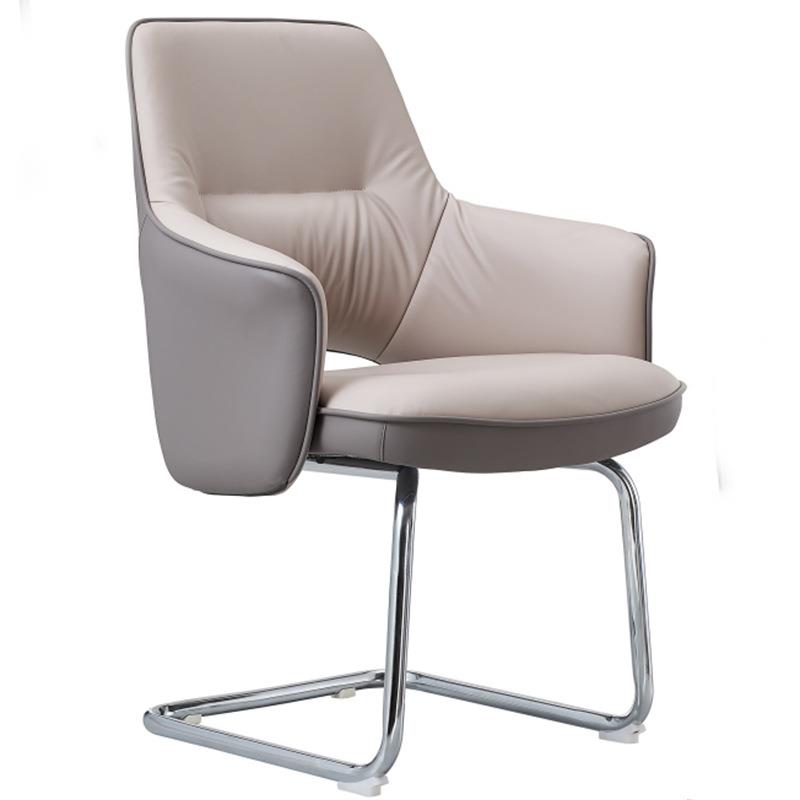 坐家用电脑椅升降办公椅可躺舒适久不累F119B主播书子房人靠背懒