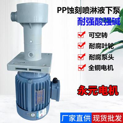 胜川宝化学镍立式泵永元电机PP喷淋液下循环泵槽外泵过滤机配用泵