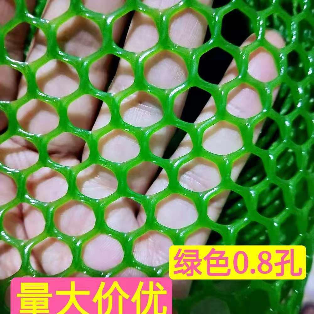 防护网绿色塑料养殖网格养鸡网