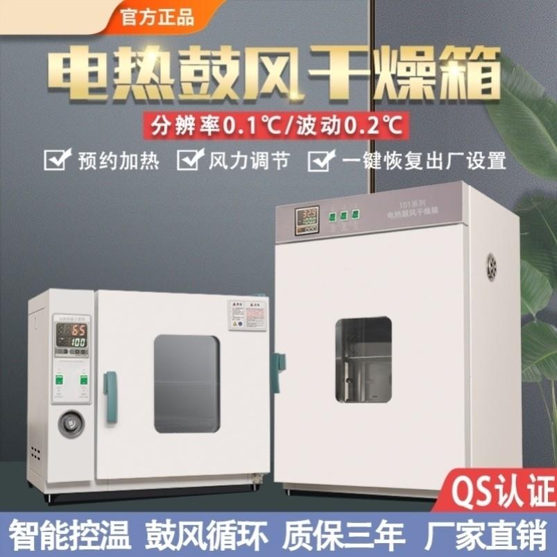 电热恒温鼓风干燥箱实验室烘箱高温小型工业烤箱烘干机电加热商用
