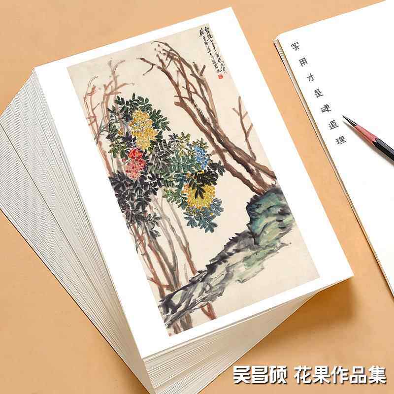 国画临摹卡吴昌硕花卉水果篇 水墨绘画入门艺术培训教学全套48幅