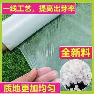 种地育苗 白色地膜小拱棚多功能透明加厚塑料薄膜蔬菜保温农用保湿