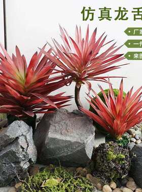 仿真红叶龙舌兰剑兰盆栽沙漠假绿植橱窗装饰摆件热带仿真植物造景