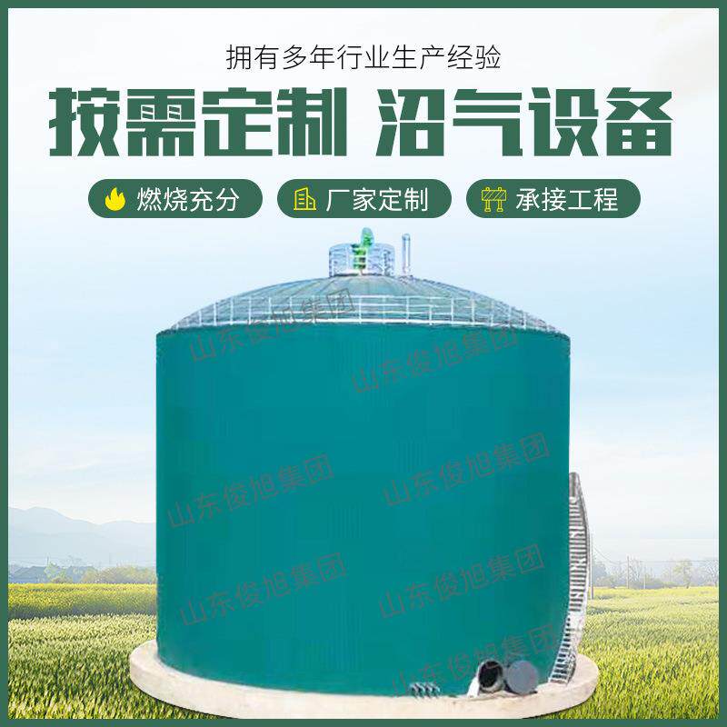 沼气脱硫工程成套设备沼气发电净化工程设备沼气提纯天然气设备