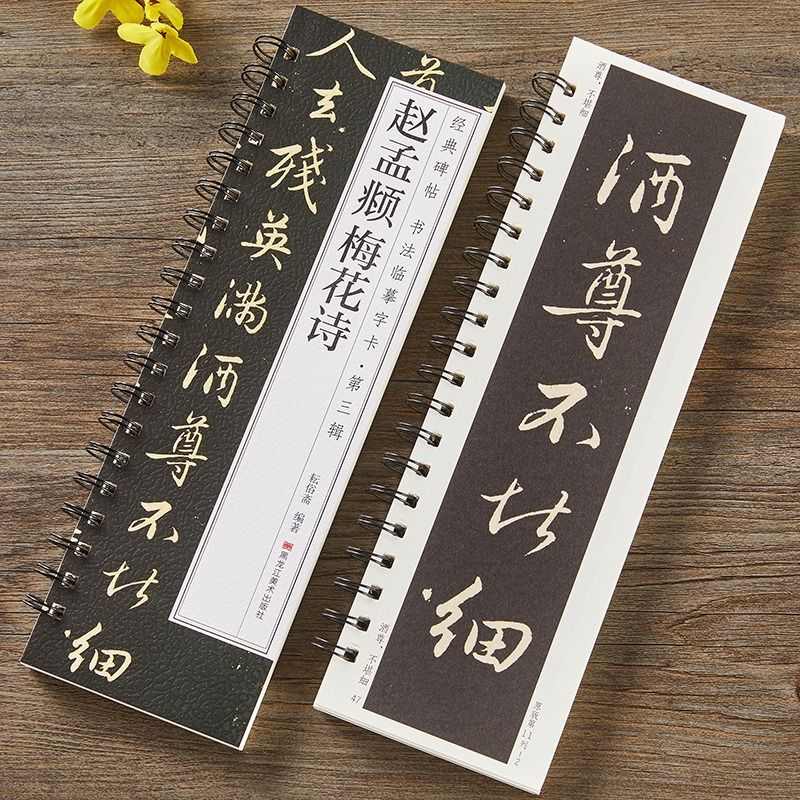 赵孟俯梅花诗帖诗行书毛笔书法全文放大版经典碑帖近距离临摹字卡