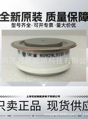 R350CH12 R350CH14 R350CH16 WESTCODE中频电炉可控硅