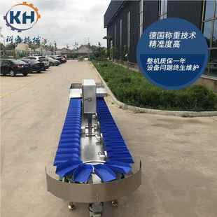 爪鸡自翅鸡腿动重量分重量分拣选机 白条鸡自动鸡称重分级机 三黄