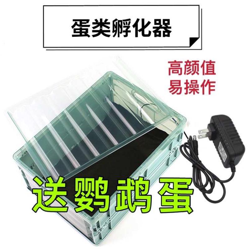 孵蛋器孵化机孵化器小型家用型全自动智能小鸡的机器鹦鹉可孵化箱
