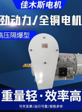 佳木斯电机马达YX3高压电动机隔爆型三相异步110/132/160/185kw