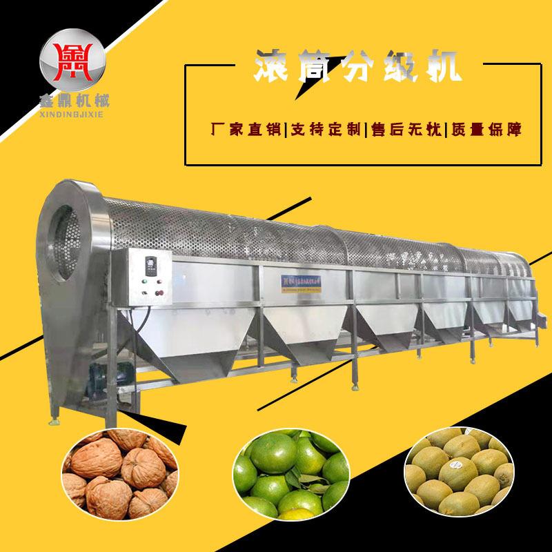 水果大小分级机云南核桃分选设备不锈钢材质沾化冬枣分级机