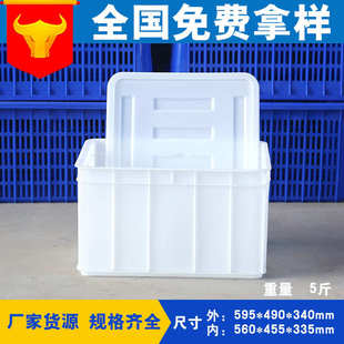 加盖水产箱 现货批发泽鹏5斤二号封闭箱 运输物流白蓝塑料周转箱