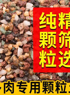 纯土养多肉绿植花卉铺面石拌土种植全彩虹石介质虹彩装饰