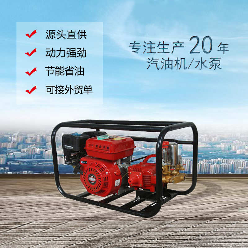 26型喷雾器 30型果园打药机 170F手动汽油机柱塞泵农业机械药泵