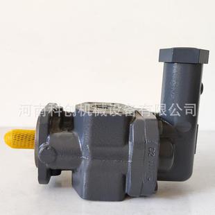 克拉克油泵KF63RF1 D15风电备件液压齿轮泵