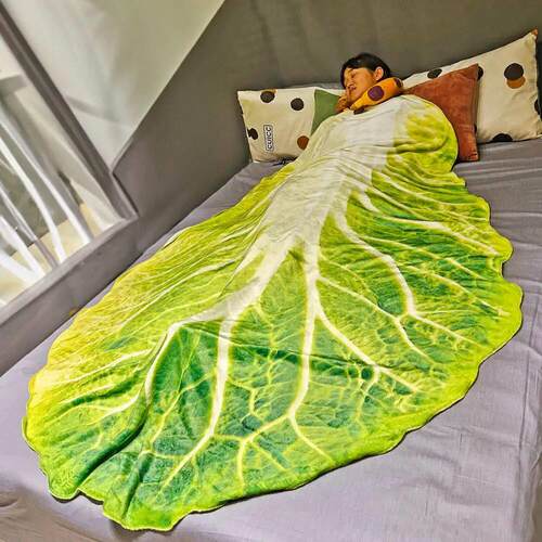 Double-Sided Flannel Creative Appearance Home Sofa Cabbage B
