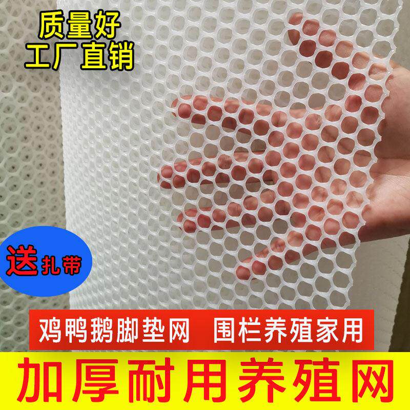 塑料网养殖网阳台安全网防护网胶网网格鸡鸭鹅苗脚垫漏粪防护网子
